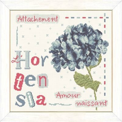 hortensia