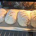 DSCF4471