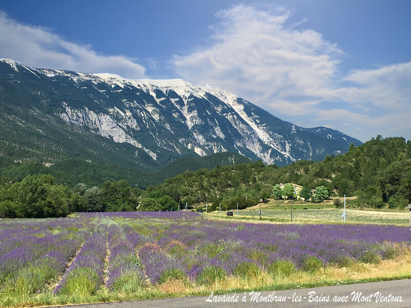 A Montbrun les Bains avec le Ventoux