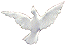 _2521cid_255F6D74429C_252D144E_252D4E41_252D83F6_252DC44BC43201A6