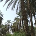DSCF9733