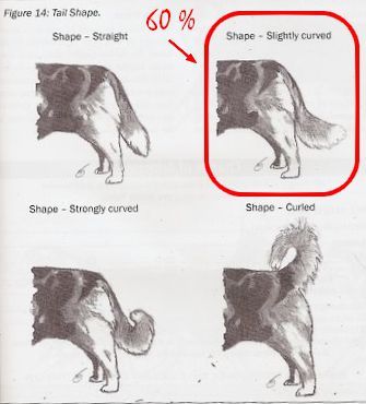 fig14