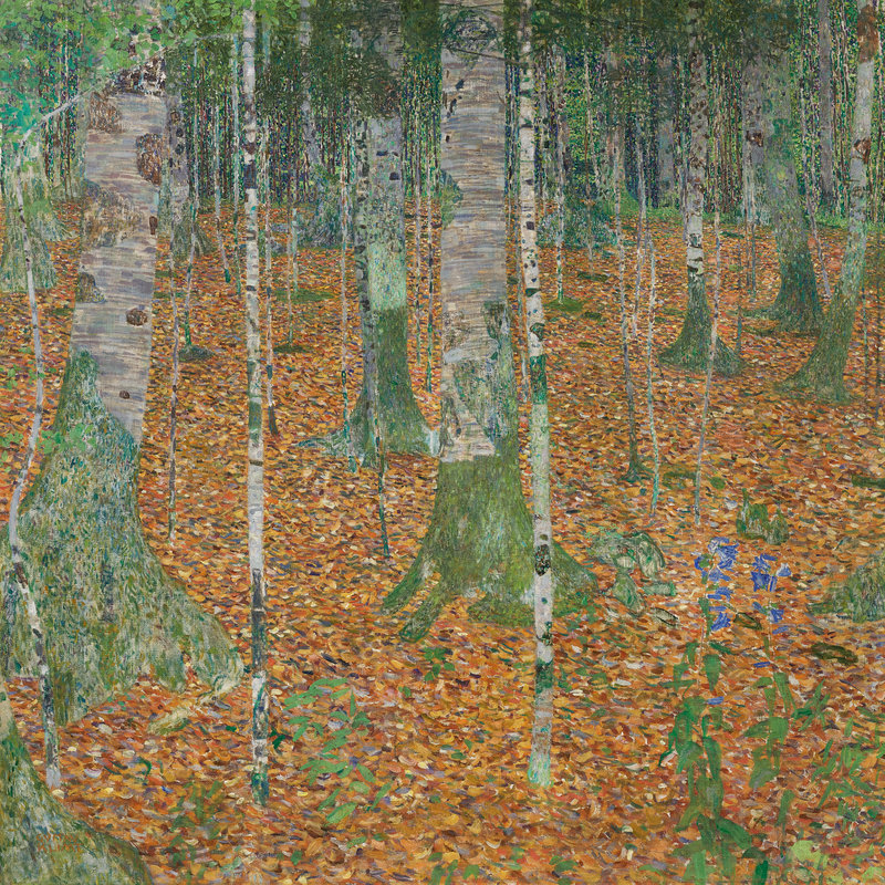 Klimt Gustav, Birch Forest