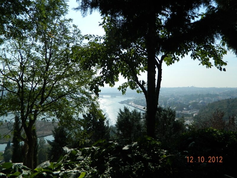 DSCN0393