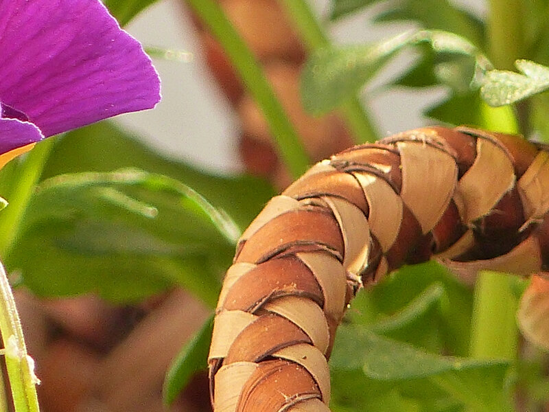 P1520464
