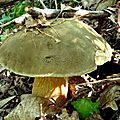 DSC05173