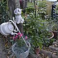 _DSC0009
