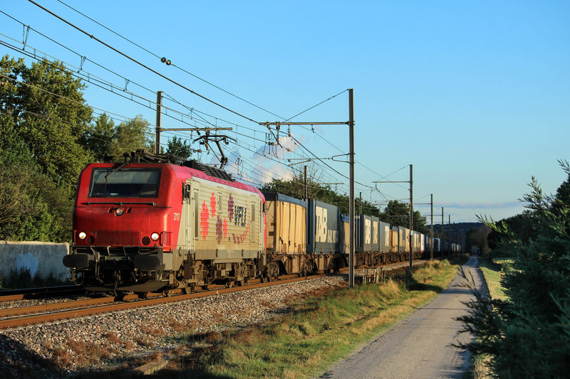 080813_27117courthezon(avignon-sucy)