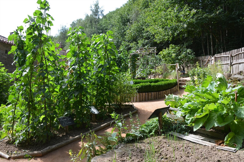Jardin 082012 - 013