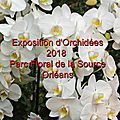 Expo-orchidées-2018