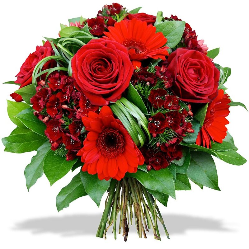 N° 5bouquet-rond-rose-fleur-oeillet-gerbera-100-rouge_16729