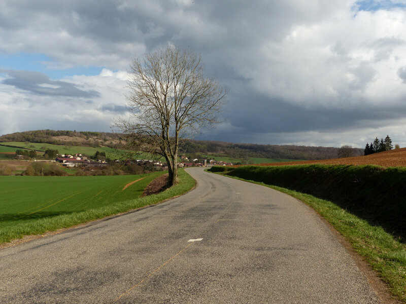 P1360134