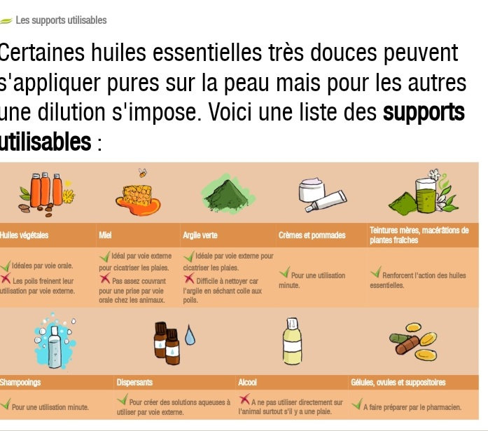 support pour huiles essent