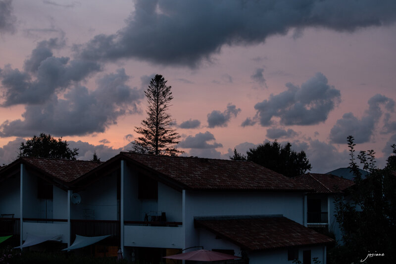 24082018-IMG_4405