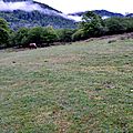 Prairie près des granges d'Issaux...