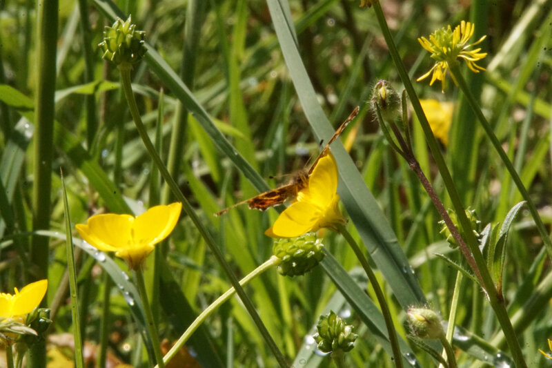 DSC02548