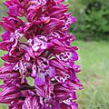 DSCN2629