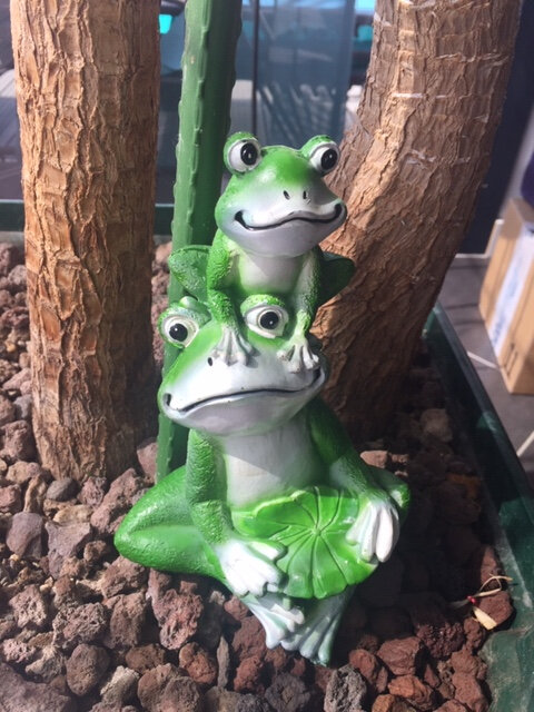 Plaisir Frog