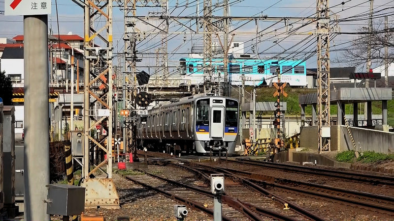 2022-Nankai-Semboko-Hankai(17)