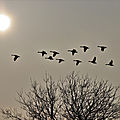 IMG_9099