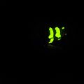 Petite lumière dans la nuit !