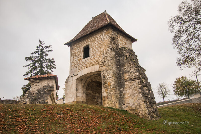 Les Ruines du CHATEAU DE VAUCOULEURS au pays de JEANNE D'ARC porte de France