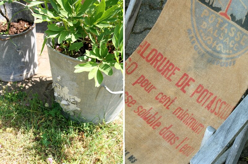 jardin4