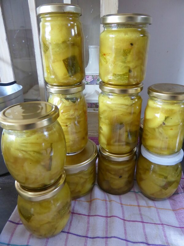 15-courgettes aigre douce (6)