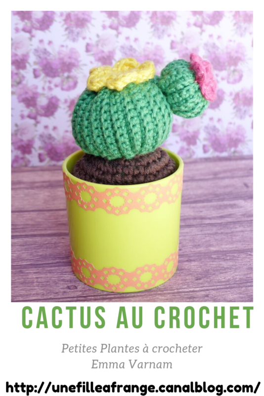 cactus-crochet