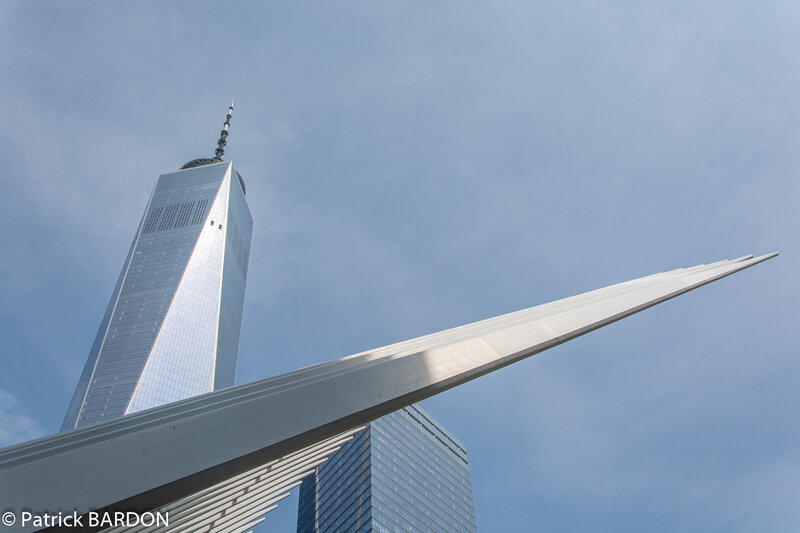 _DSC9103-2