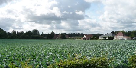 Secteur_VueTyneCote