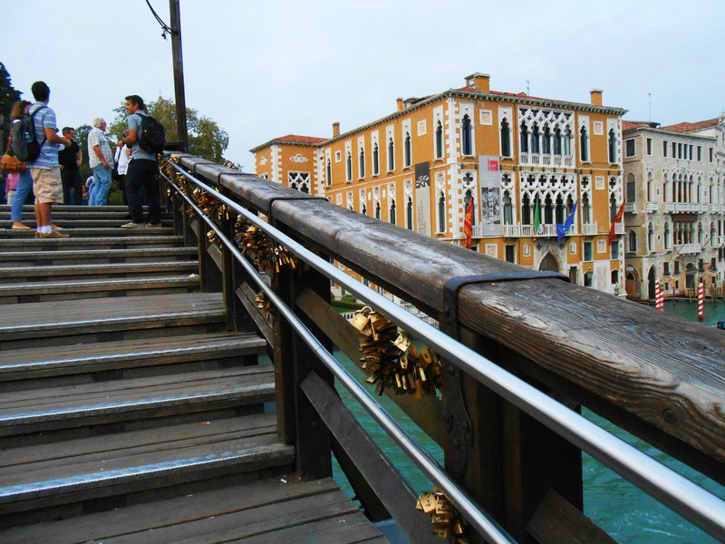 5-Violette Venise