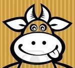 vache tête