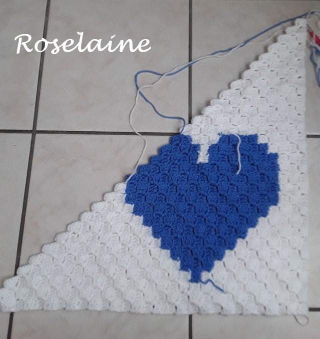 Roselaine Baby blanket c2c 3