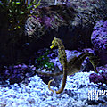 2021-05-20 11-36-02 - 104_1875