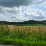 2012-07-2915