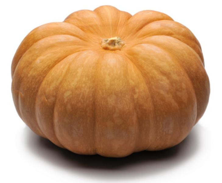 courge musquée