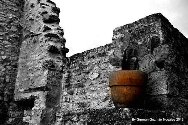 Le Poët - Laval, Dieulefit 023