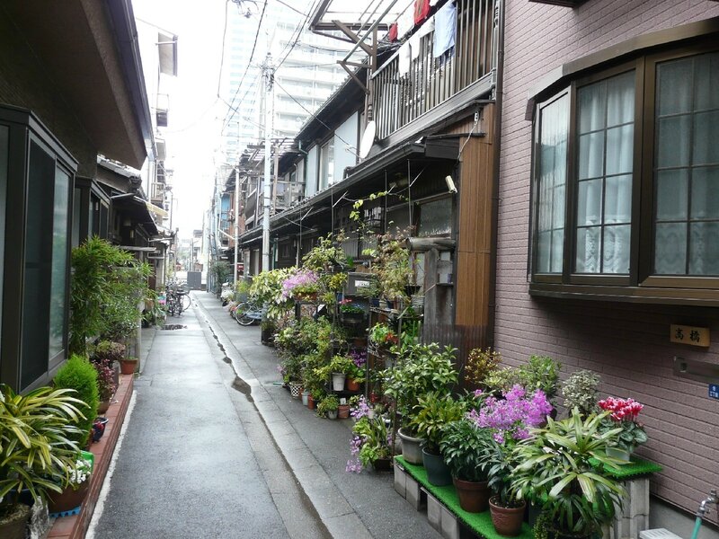 Canalblog Tokyo Tsukishima Plantes01
