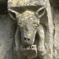 La symbolique de l'âne