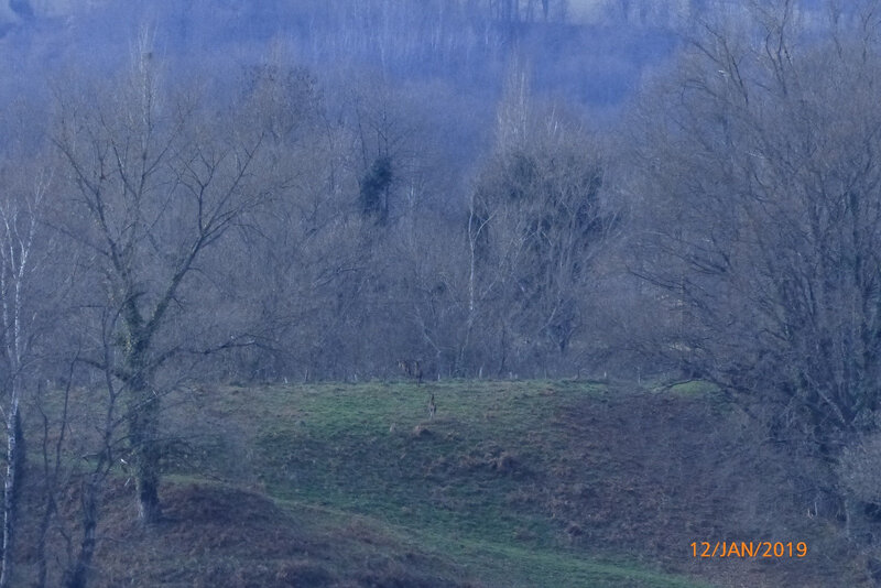 P1040492