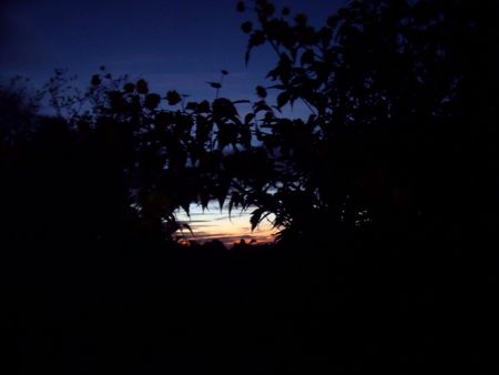 DSCF8106