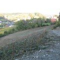 19-201007 016