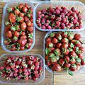 Fruits du jour + question !