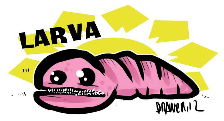 larva