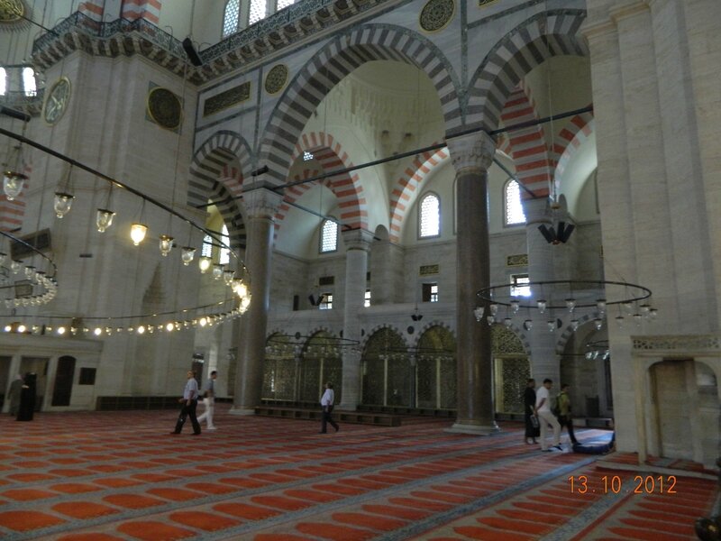 DSCN0861