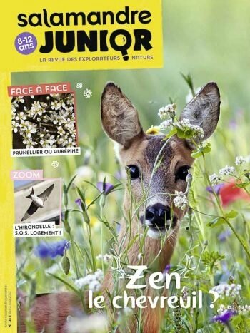 Salamandre Junior avril-mai 17