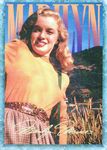 card_marilyn_serie1_num64