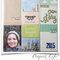 Project life 2015