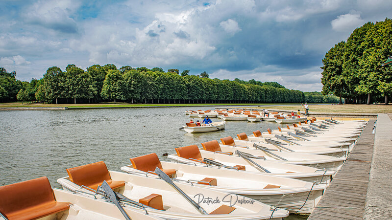 DSC_2843 copie